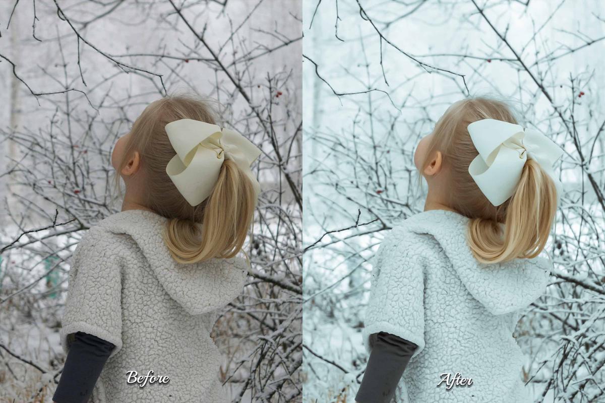 d2d552b0375a6103b16b0e22909dd6c4