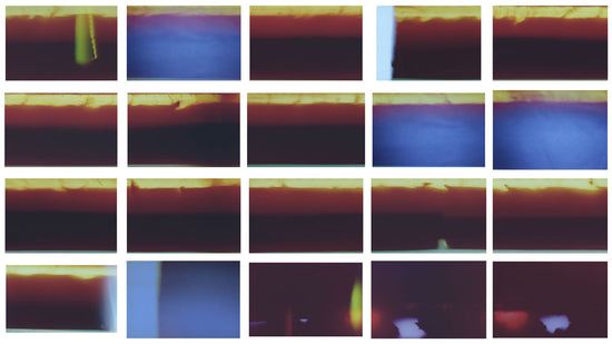 彩色胶片烧痕漏光素材 100+款6K高清JPEG纹理 PS/PR/AE/FCPX/达芬奇设计视频后期素材 Sickboat - Color Photo Film Burn Images + Light Leaks (6K)插图5 彩色胶片烧痕漏光素材 100+款6K高清JPEG纹理 PS/PR/AE/FCPX/达芬奇设计视频后期素材 Sickboat - Color Photo Film Burn Images + Light Leaks (6K)