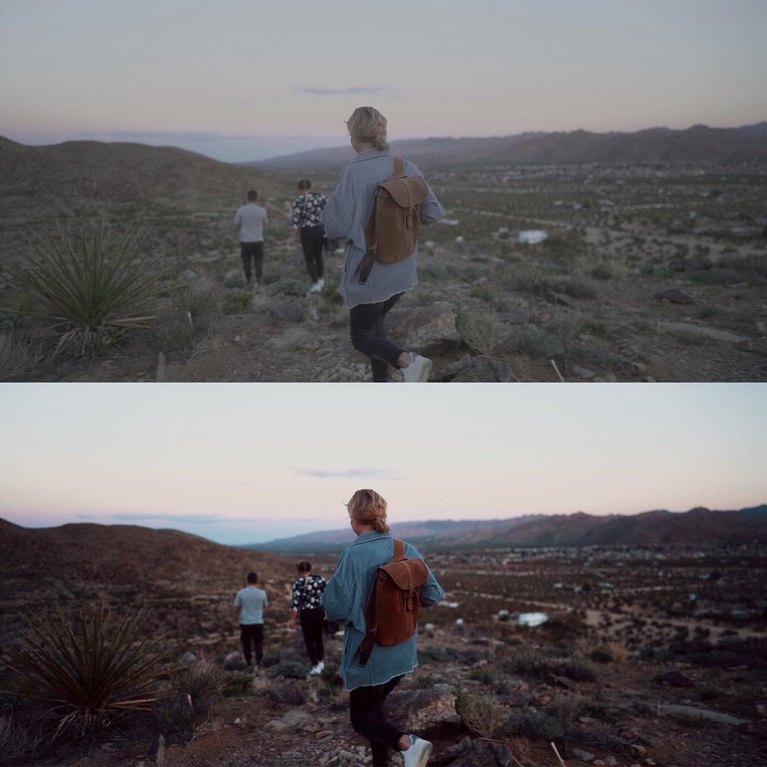 电影感LUT调色预设包50个.cube文件 索尼佳能富士iPhone多相机通用PR/达芬奇/FCPX剪辑 Cinematic LUTs Bundle