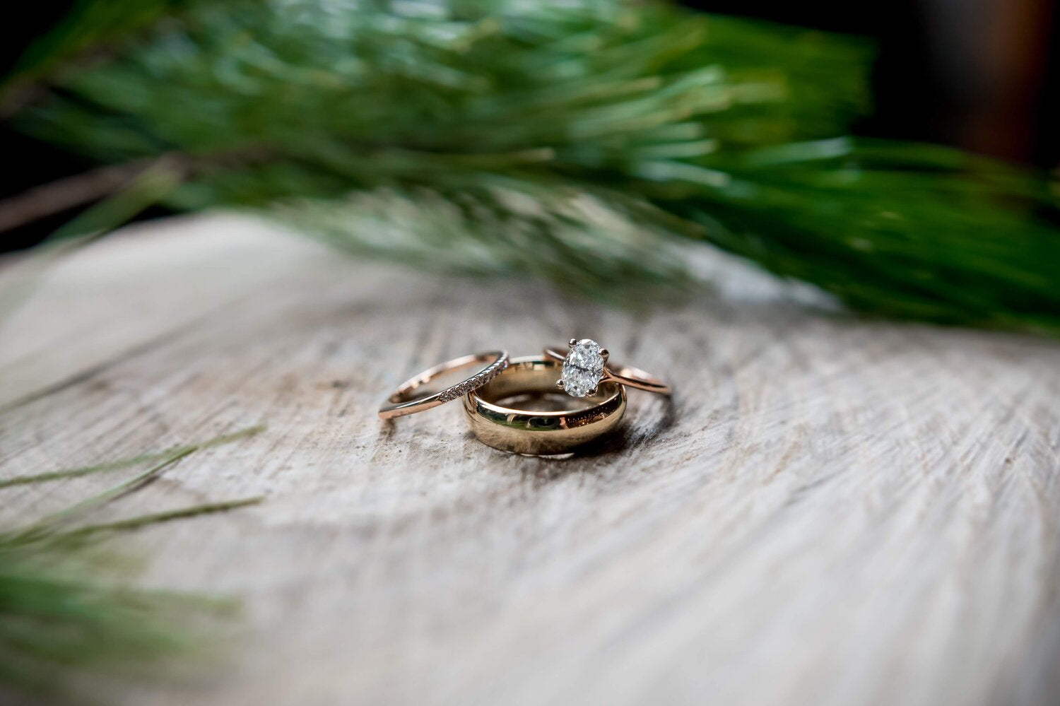 婚礼LUT调色预设10个含5种强度 专业合同时间线模板 胶片颗粒漏光4K叠加视频后期素材 TropicColour - WEDDING ESSENTIALS