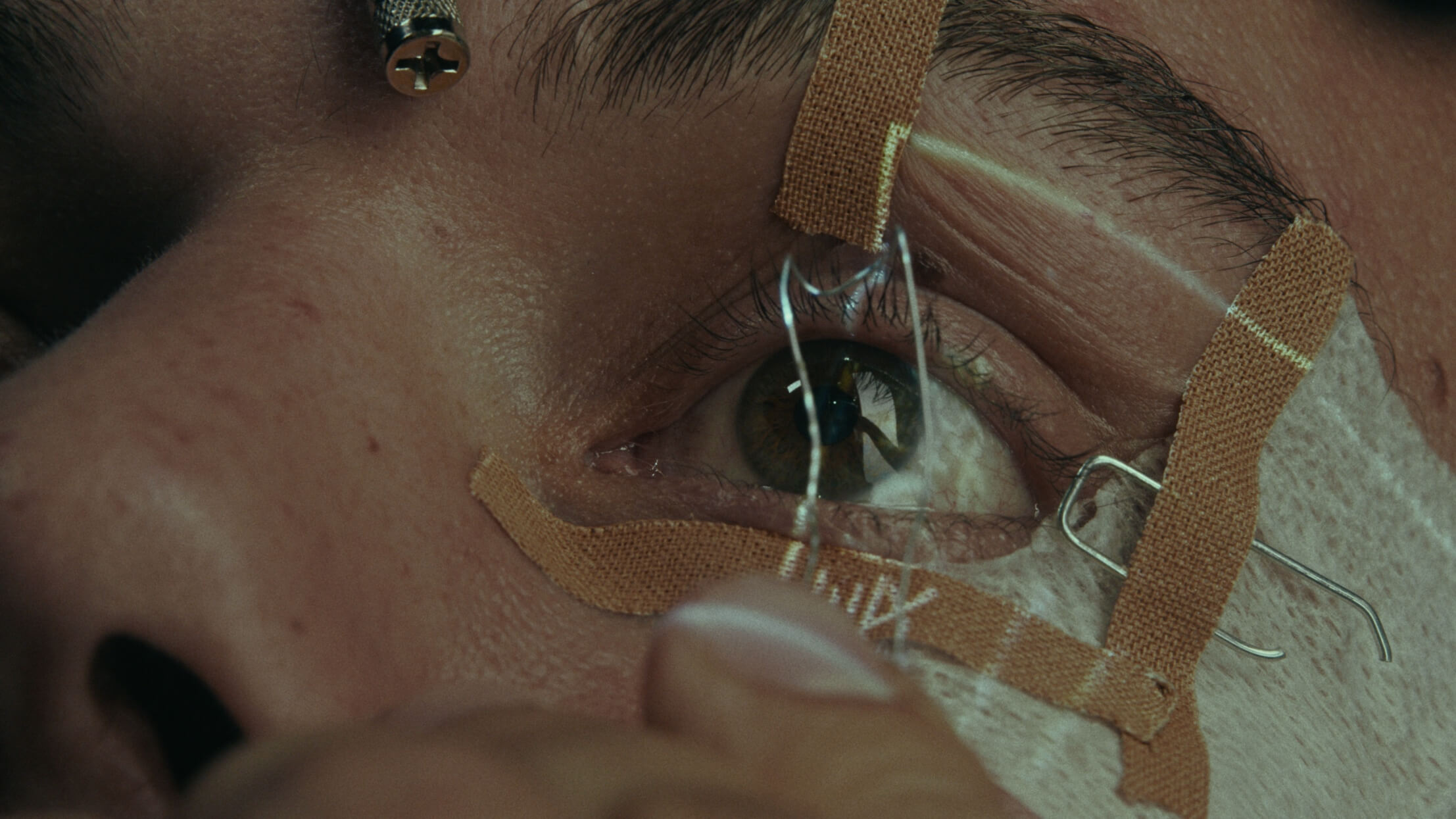 e482585f8df3fe50520766a389e1bcee