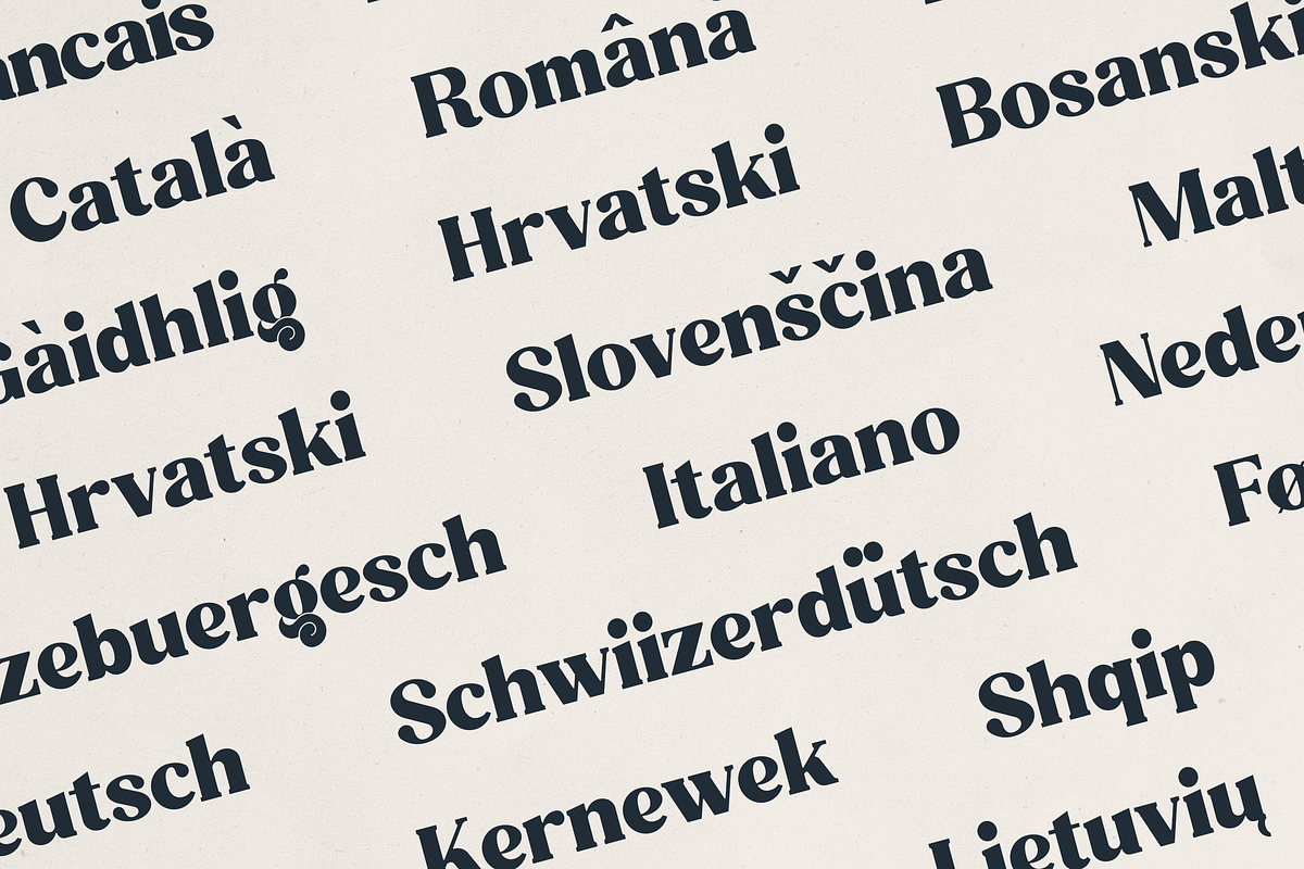 Quindle复古衬线展示字体 大胆艺术感品牌包装标题设计 含连字多语言OTF/TTF字体文件 Quindle – Retro Serif Display Font