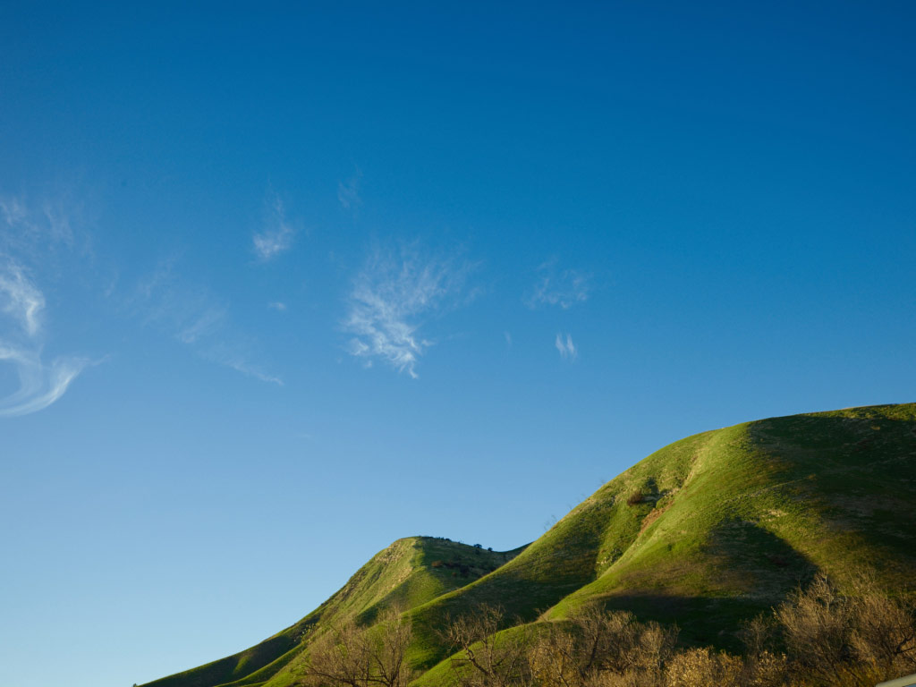 f3bcee8caaf4a22bd84888c192e59922