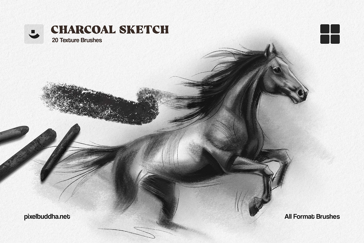 炭笔素描笔刷套装 Charcoal Brushes 10支+涂抹混色 纸纹质感 JPG PS Procreate Multi-App Charcoal Sketch Brushes