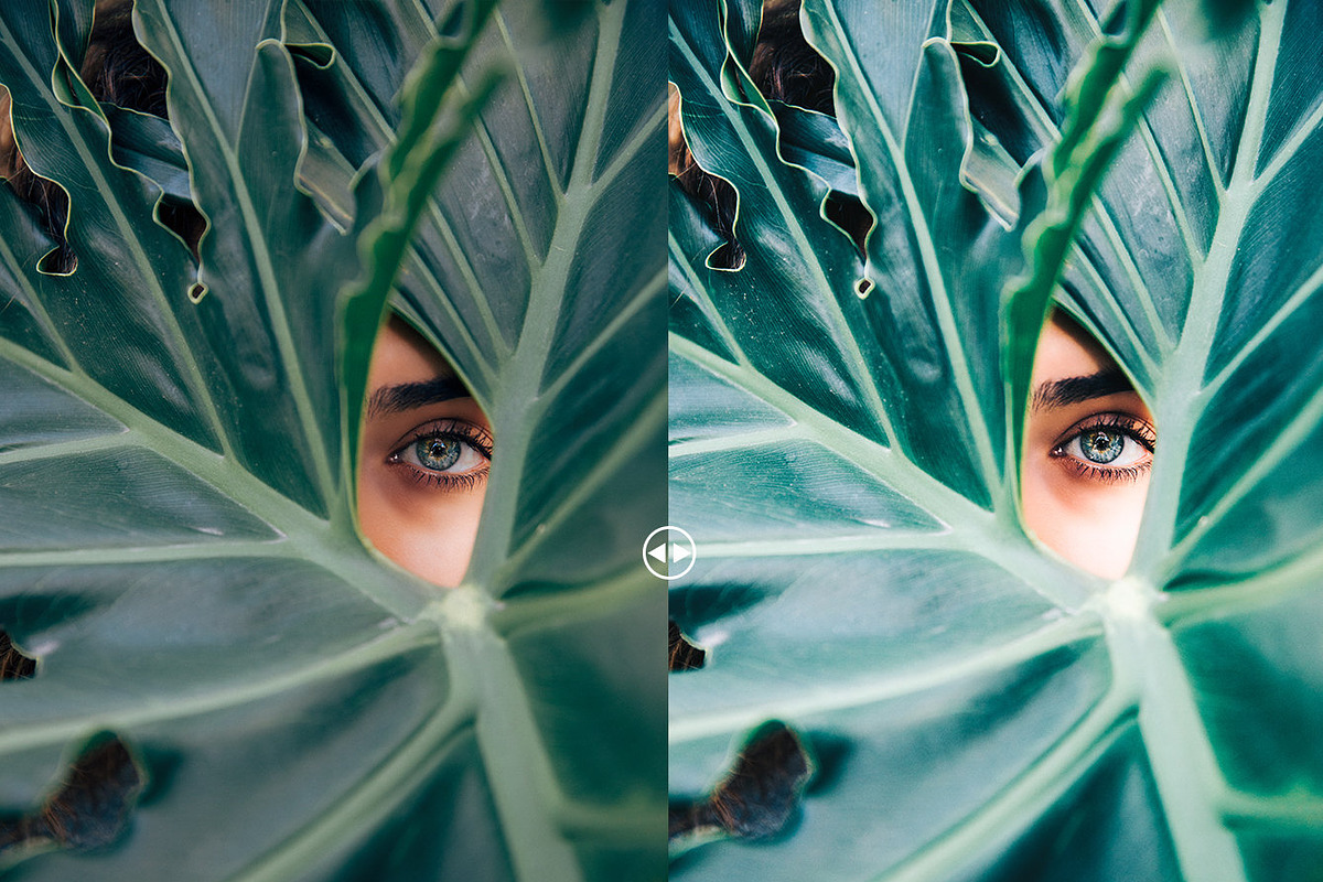 VSCO CAM风格Lightroom预设 30款胶片感滤镜 人像风景生活摄影后期调色lrtemplate