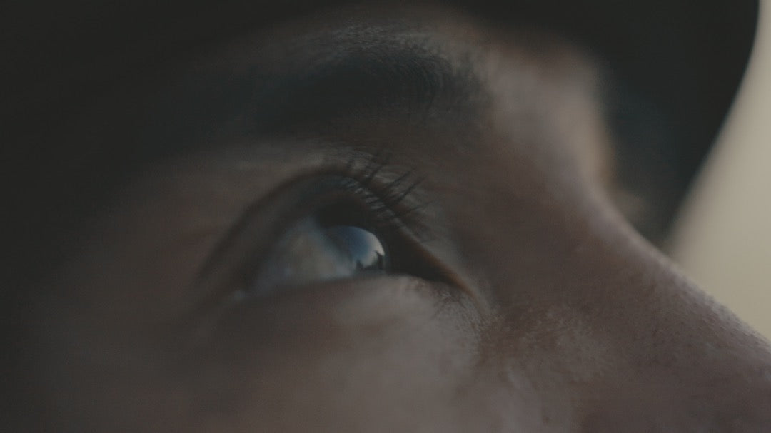 GradeFruit好莱坞大片感LUT与LR预设 15款史诗鲜艳电影感调色 支持PR达芬奇FCPX及手机LR Blockbuster LUTs & LR Presets