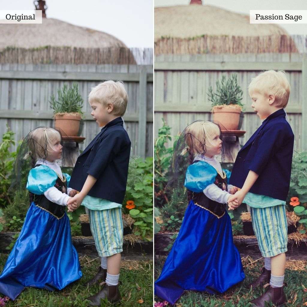 爱情故事奶油色Lightroom预设 24款浪漫怀旧色调 春季情侣婚纱摄影调色滤镜 The Luxe Lens - Love Story Lightroom Presets - Desktop & Mobile