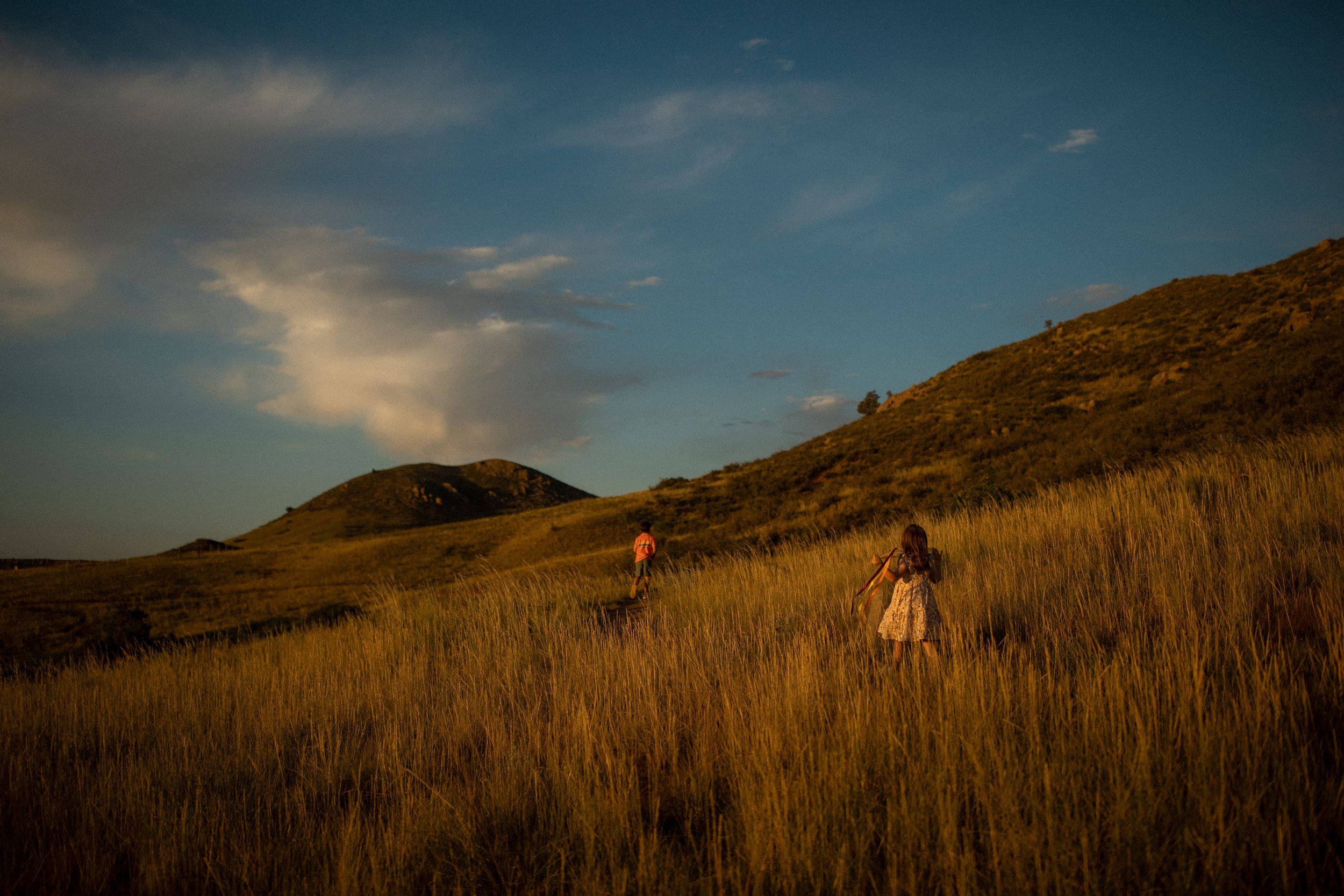 Jubilee系列Lightroom预设 50款多功能调色滤镜 黑白风格与助手预设组合
